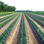 How FarmSmart Is Changing the Way India Farms