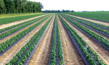 How FarmSmart Is Changing the Way India Farms How FarmSmart Is Changing the Way India Farms